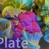Low Carb Plate: Recipes & Food Ideas