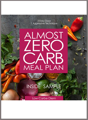 Low Carb and Keto Recipe eBooks  Low Carbe Diem